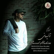 آهنگ جدید سعید حکیم به نام تو نمیدونی